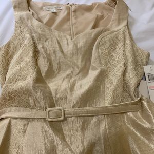 Cream/off-white, shimmery, formal woman’s dress